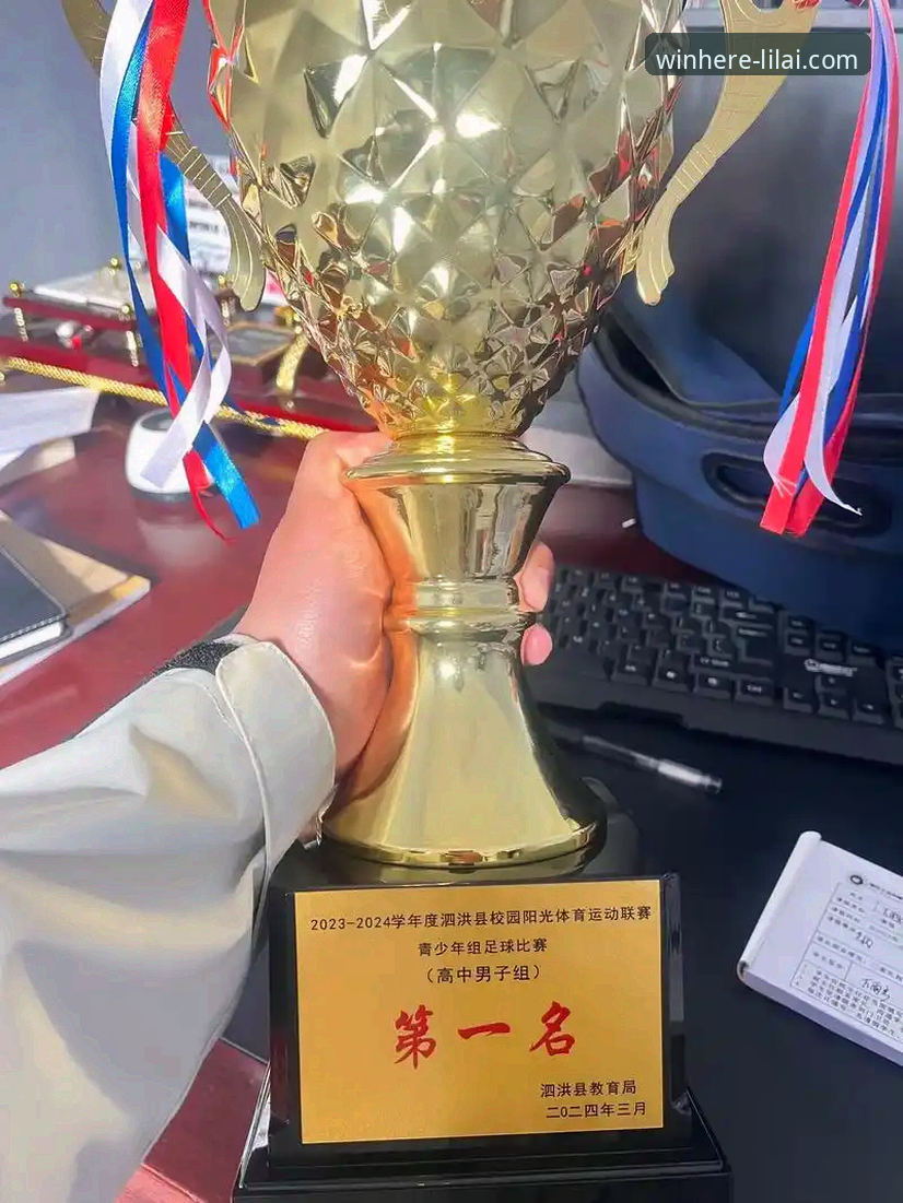 利来体育使用教程 揭秘利来体育平台:2024最新版使用教程背后的技术真相